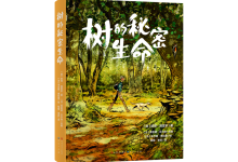 树的秘密生命-奋赢学习网
